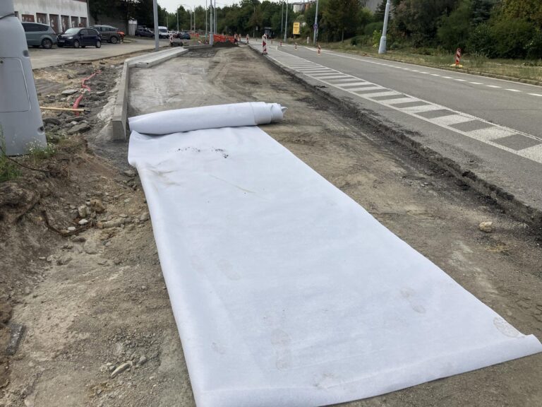 Rekonstrukce Věstonická